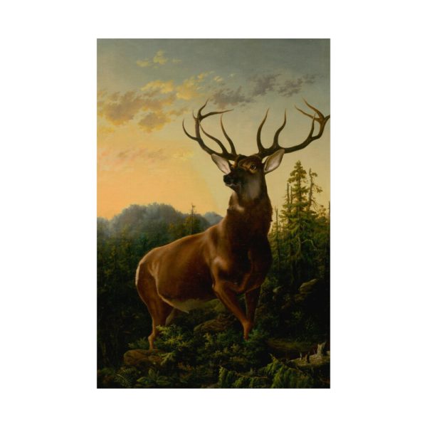 92397.jpg Deer in Forest Landscape Poster