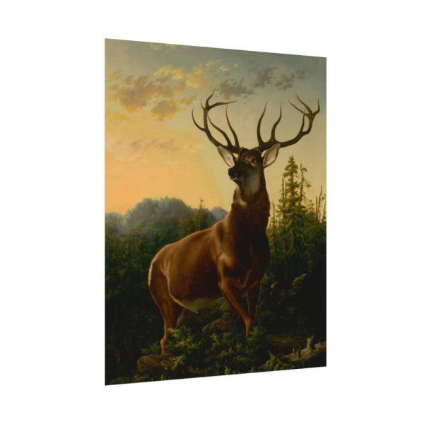 92398-2.jpg Deer in Forest Landscape Poster