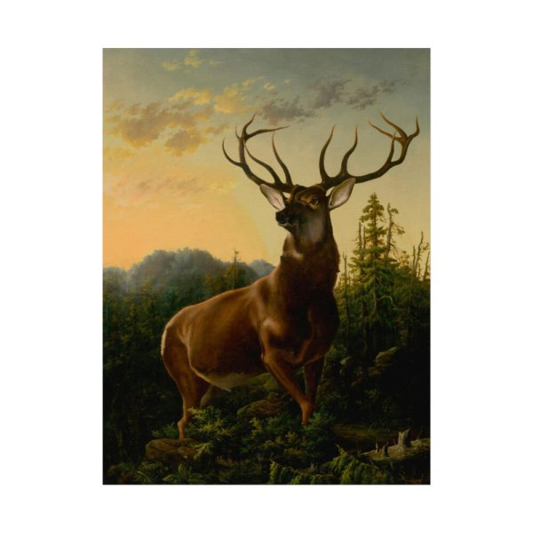 92401.jpg Deer in Forest Landscape Poster