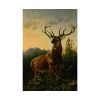 92403.jpg Deer in Forest Landscape Poster