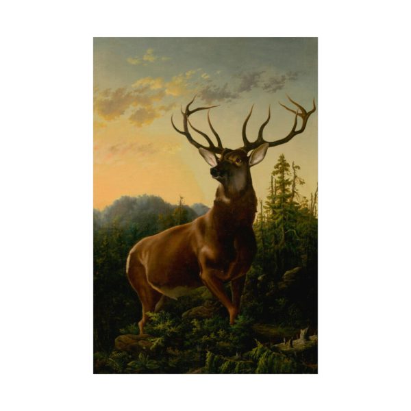 92403.jpg Deer in Forest Landscape Poster