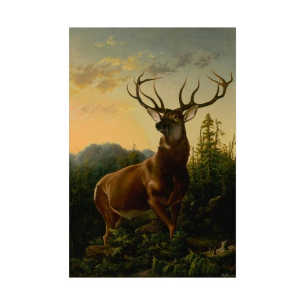 92407.jpg Deer in Forest Landscape Poster