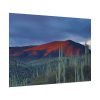 Desert With Cactus Poster