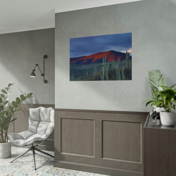 Desert With Cactus Poster