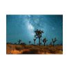 92408-165.jpg Starry Sky Night With Cactus Poster
