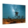 92408-167.jpg Starry Sky Night With Cactus Poster