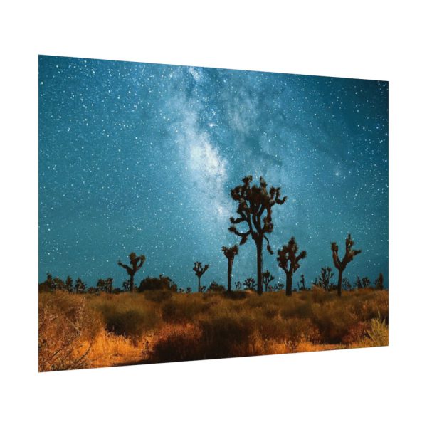 92408-167.jpg Starry Sky Night With Cactus Poster