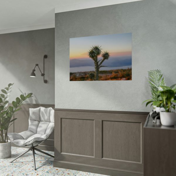 92408-174.jpg Sunset With Cactus Poster