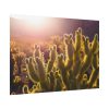 92408-177.jpg Landscape of Cactus Poster