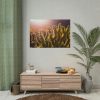 92408-178.jpg Landscape of Cactus Poster