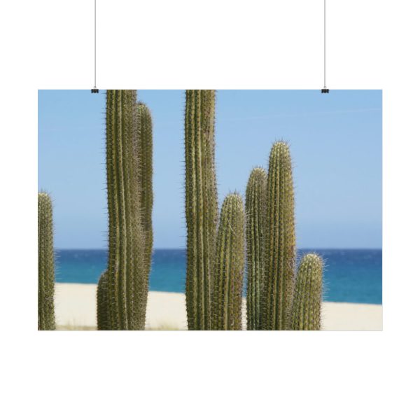 92408-206.jpg Cactus on the Beach Poster