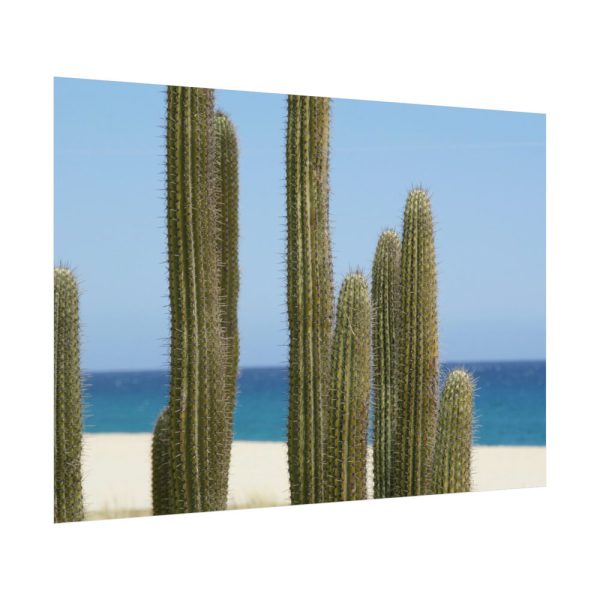 92408-207.jpg Cactus on the Beach Poster