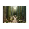 92408-250.jpg Walkway Meandering Through a Forest of Organ Pipe Cactus Poster