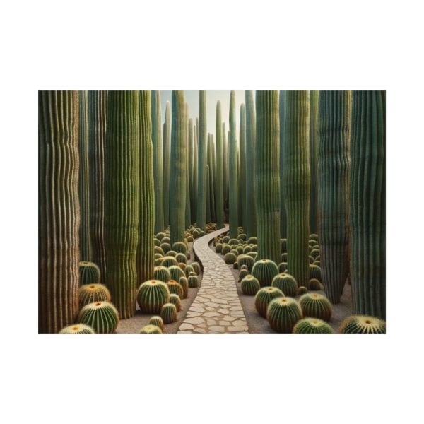92408-250.jpg Walkway Meandering Through a Forest of Organ Pipe Cactus Poster
