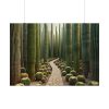 92408-251.jpg Walkway Meandering Through a Forest of Organ Pipe Cactus Poster