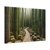 92408-252.jpg Walkway Meandering Through a Forest of Organ Pipe Cactus Poster