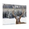 92408-307.jpg Deer Portrait From Behind Poster