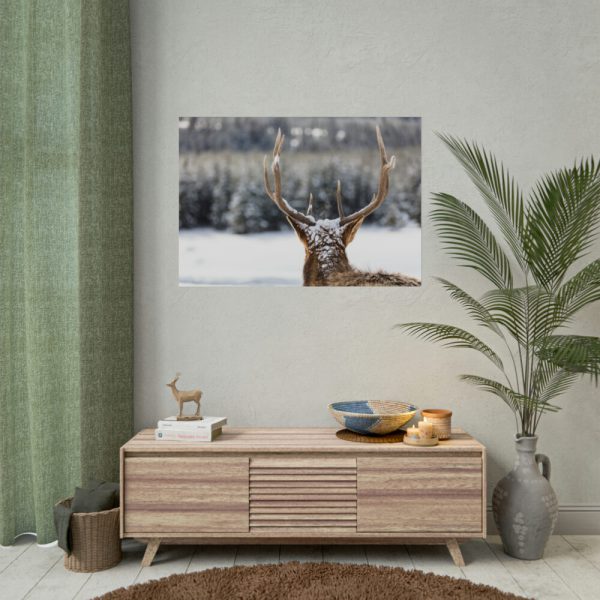 92408-308.jpg Deer Portrait From Behind Poster