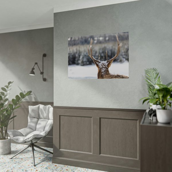92408-309.jpg Deer Portrait From Behind Poster