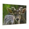 92408-312.jpg Deer With Small Horns Poster