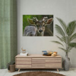 Deer With Small Horns Poster - Image 4