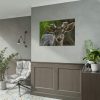 92408-314.jpg Deer With Small Horns Poster