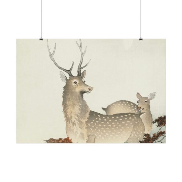 92408-316.jpg Couple of Deers Poster