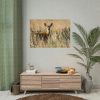 92408-323.jpg Roe Deer Poster