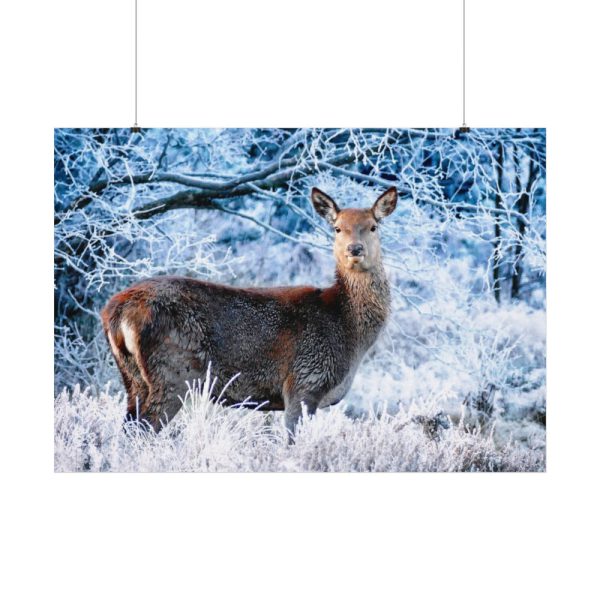 92408-331.jpg Deer In The Forest Poster