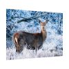 92408-332.jpg Deer In The Forest Poster