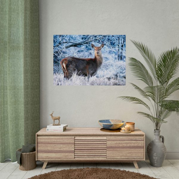 92408-333.jpg Deer In The Forest Poster