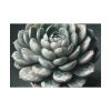 92408-55.jpg Boho Succulent Plant Poster