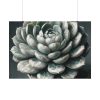 92408-56.jpg Boho Succulent Plant Poster