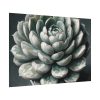 92408-57.jpg Boho Succulent Plant Poster