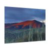Desert With Cactus Poster