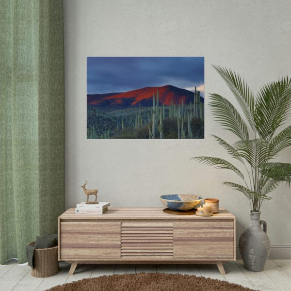 Desert With Cactus Poster