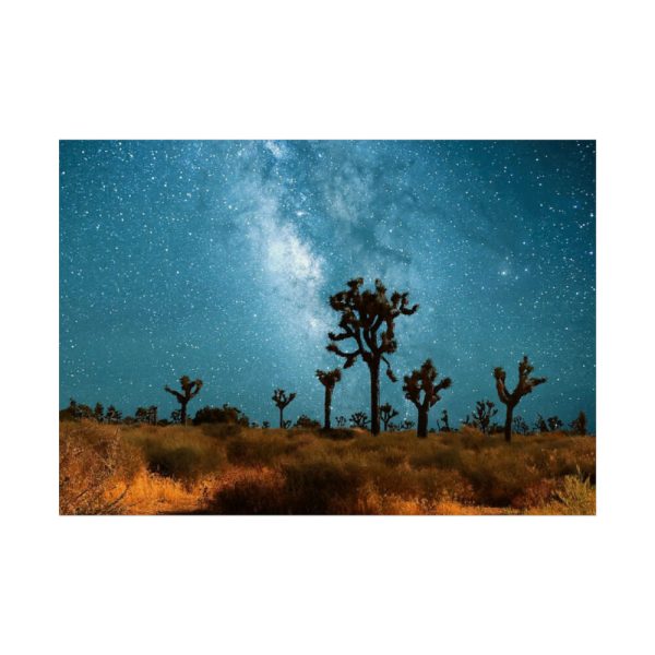 92409-165.jpg Starry Sky Night With Cactus Poster