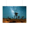 92409-166.jpg Starry Sky Night With Cactus Poster