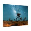 92409-167.jpg Starry Sky Night With Cactus Poster