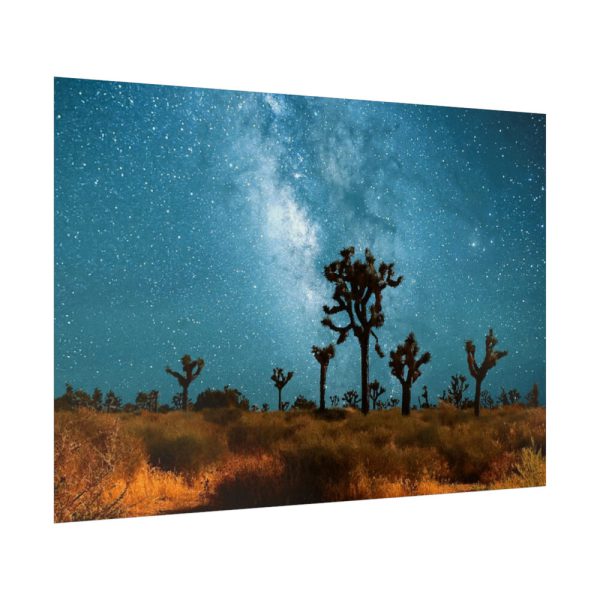 92409-167.jpg Starry Sky Night With Cactus Poster