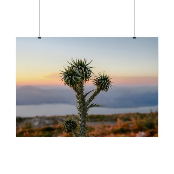 92409-171.jpg Sunset With Cactus Poster