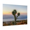 92409-172.jpg Sunset With Cactus Poster