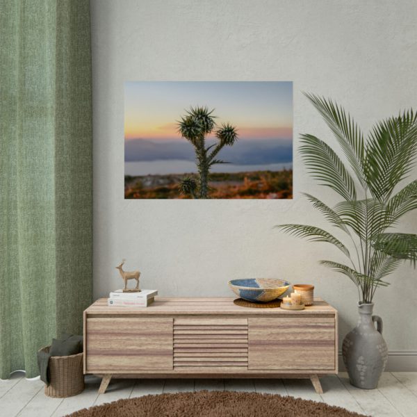 92409-173.jpg Sunset With Cactus Poster
