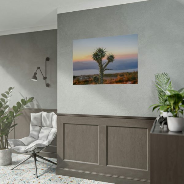 92409-174.jpg Sunset With Cactus Poster