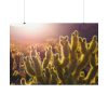 92409-176.jpg Landscape of Cactus Poster