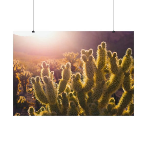 92409-176.jpg Landscape of Cactus Poster
