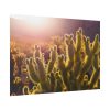 92409-177.jpg Landscape of Cactus Poster