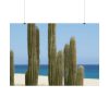 92409-206.jpg Cactus on the Beach Poster