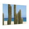 92409-207.jpg Cactus on the Beach Poster