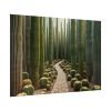 92409-252.jpg Walkway Meandering Through a Forest of Organ Pipe Cactus Poster